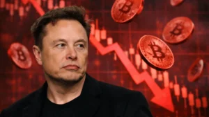 Elon Musk prerobil na Bitcoine